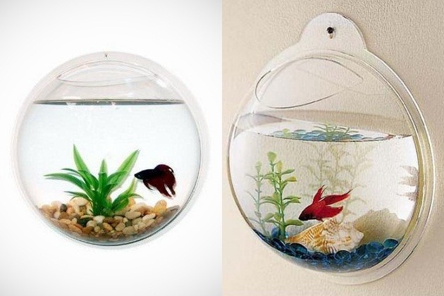 Wall Mount Fish Bowl