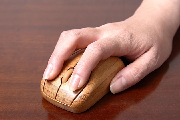 Bamboo Peripherals by Sanyo (4)