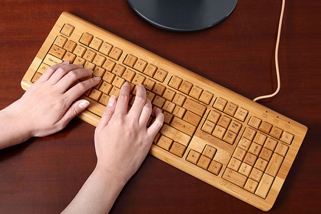 Bamboo Peripherals by Sanyo (3)