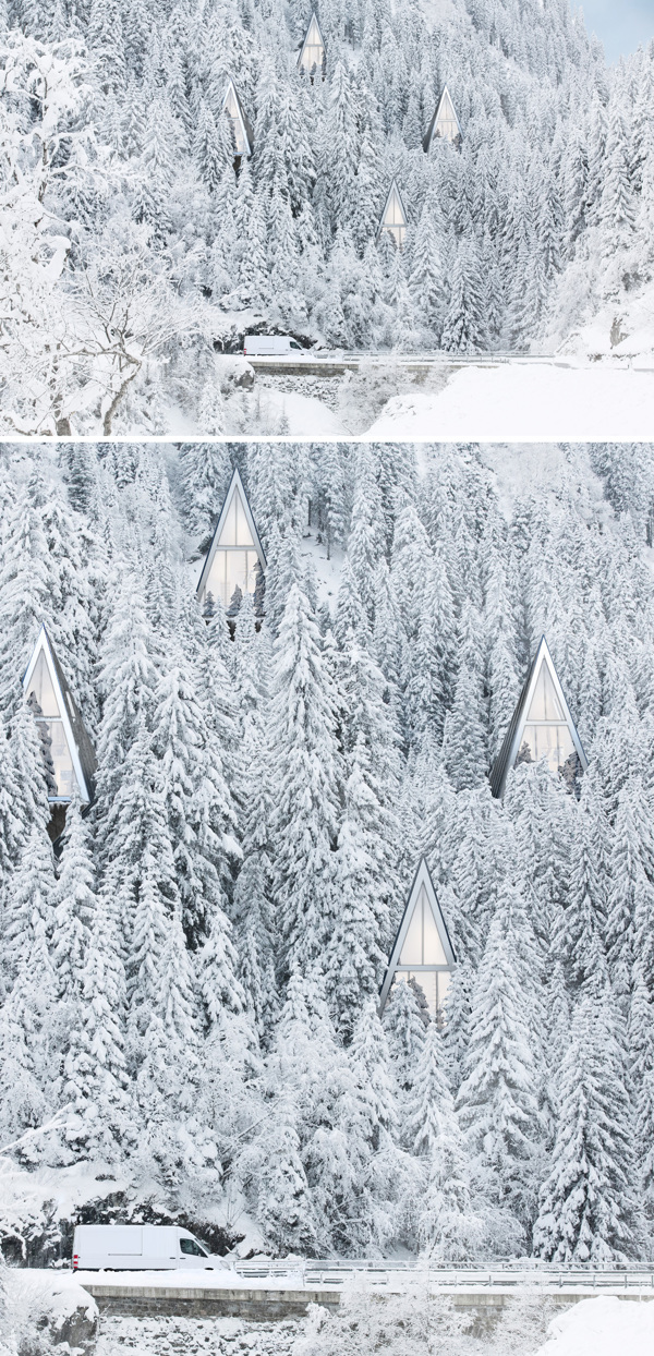 Modern Forest Homes (3)