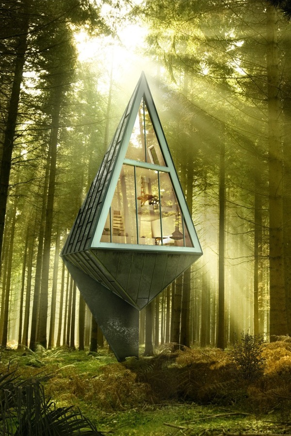 Modern Forest Homes (2)