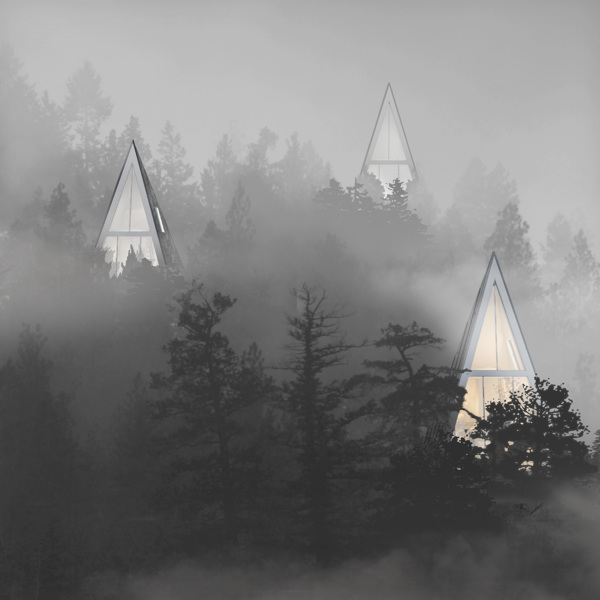 Modern Forest Homes (8)