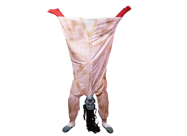 Upside Down Crazy Woman Costume