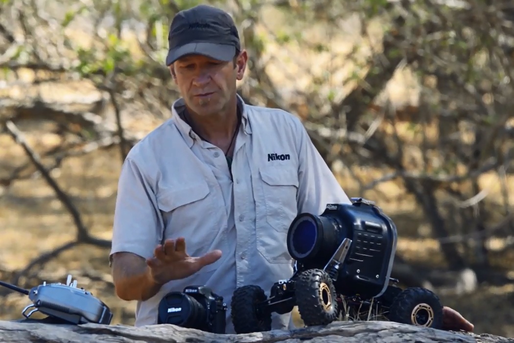 Photographer Engages Lion Cubs With His Camera Buggy