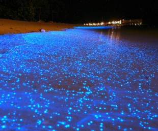 Glowing Beach Awash at Vaadhoo Island in Maldives (1)