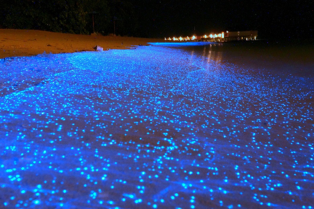 Glowing Beach Awash at Vaadhoo Island in Maldives (1)