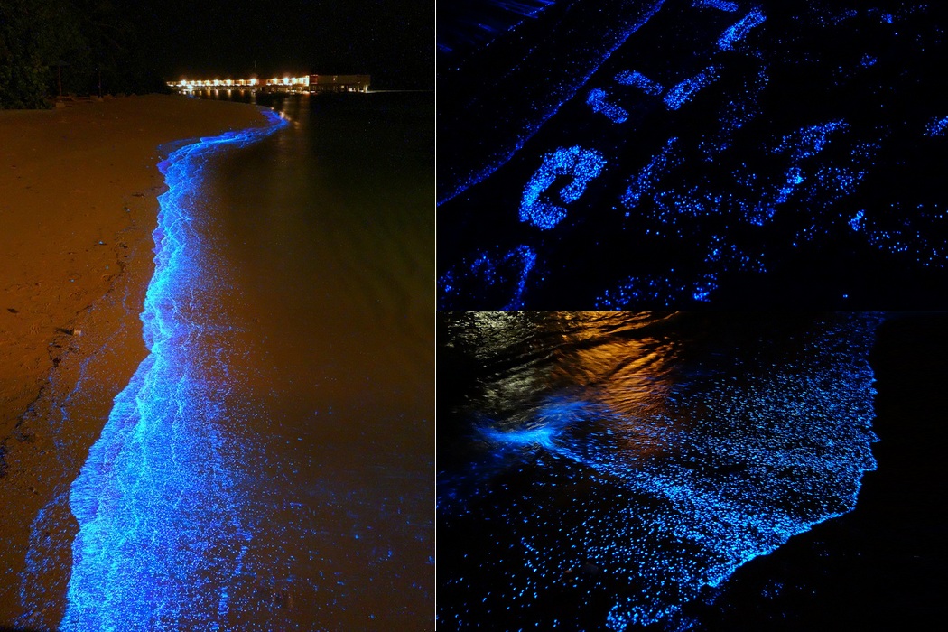 Glowing Beach Awash at Vaadhoo Island in Maldives (5)