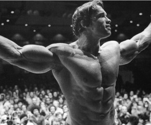 Arnold Schwarzenegger And 6 Rules Of Success