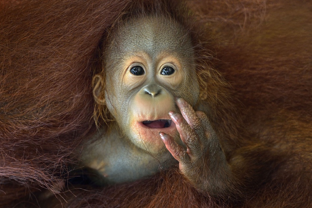 Highlights from the 2014 Sony World Photography Awards Shortlist (1)