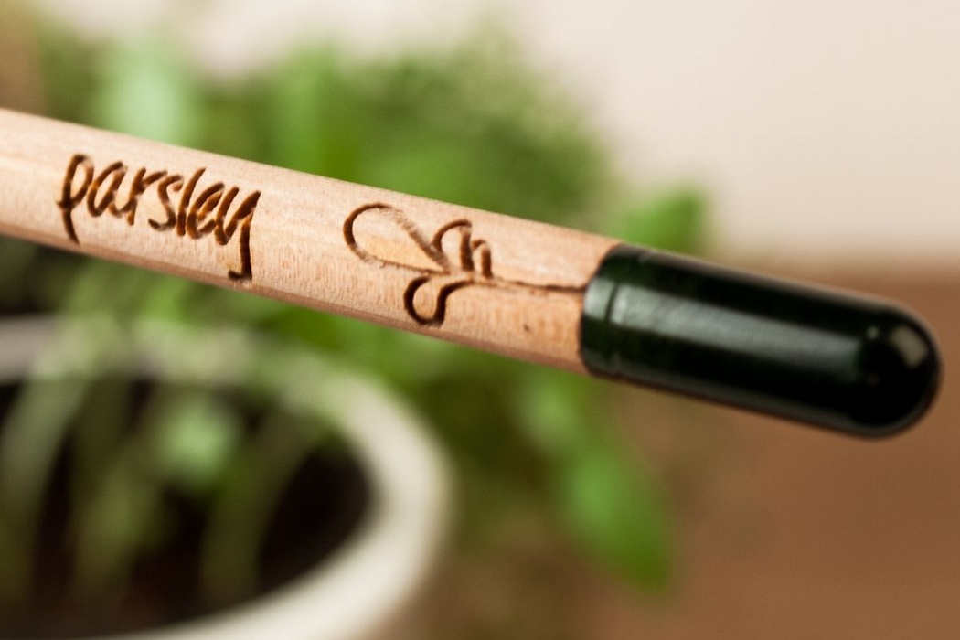 Sprout – A Pencil That Grows