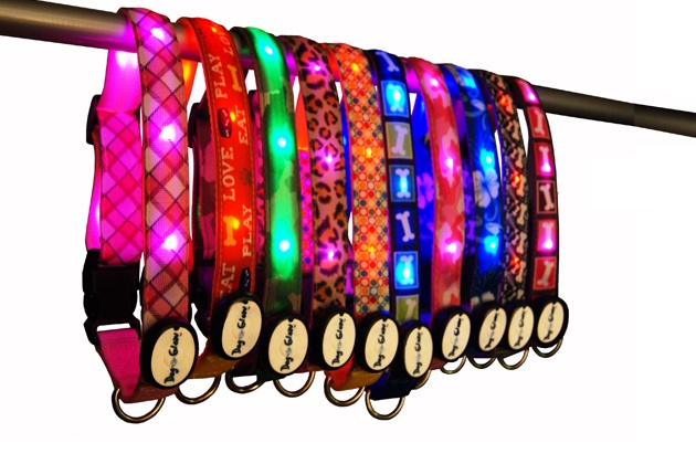LED Lighted Dog Leash Collar By Dog-E-Glow