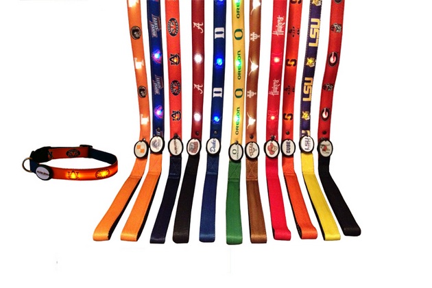 LED Lighted Dog Leash Collar By Dog-E-Glow