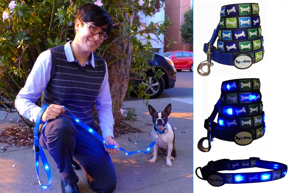 LED Lighted Dog Leash Collar By Dog-E-Glow