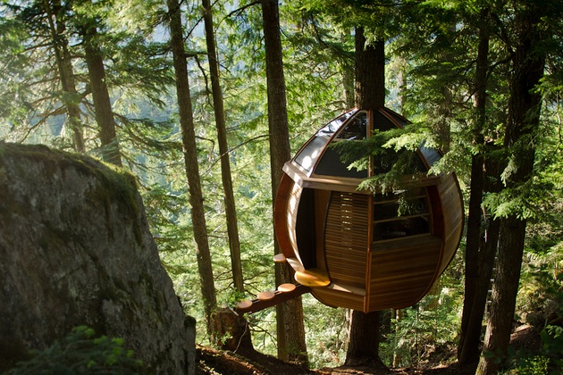 Secret HemLoft Tree House An Egg in a Tree