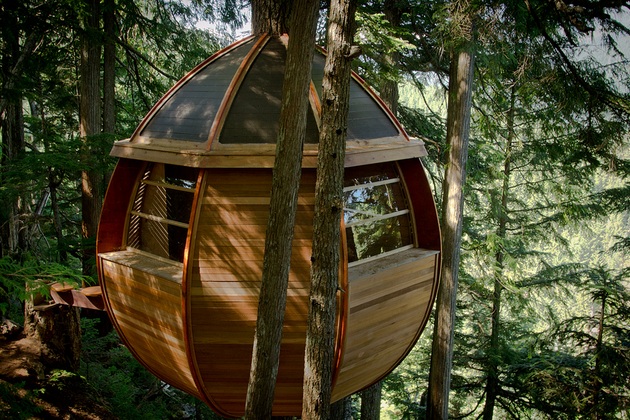 Secret HemLoft Tree House An Egg in a Tree