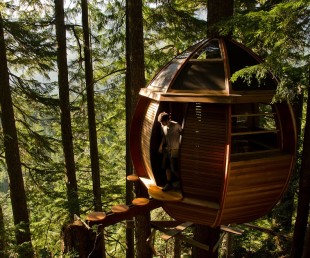 Secret HemLoft Tree House An Egg in a Tree