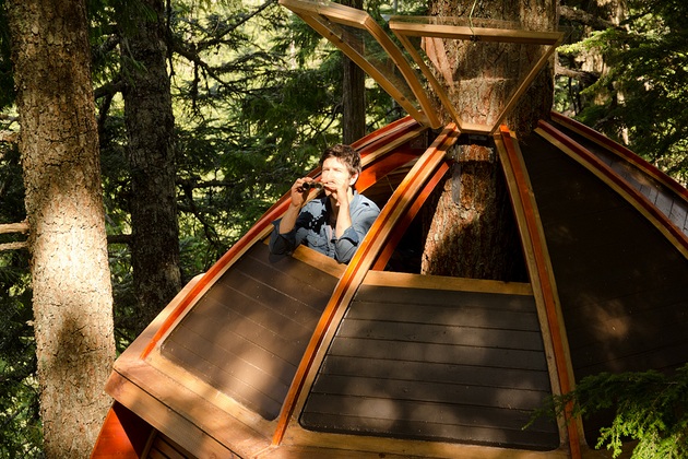 Secret HemLoft Tree House An Egg in a Tree