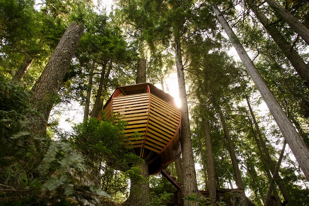 Secret HemLoft Tree House An Egg in a Tree