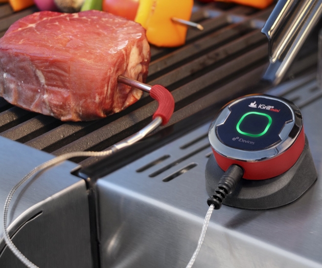 iGrill Mini