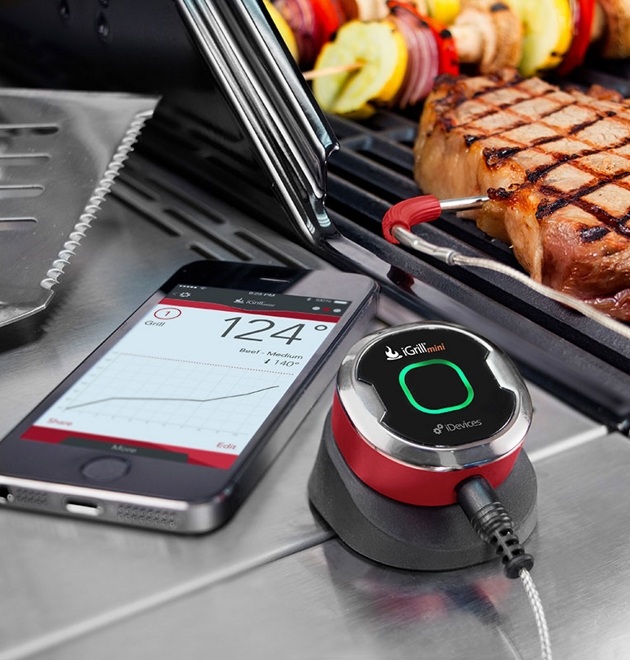 iGrill Mini