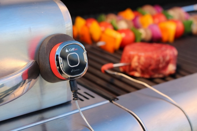 iGrill Mini