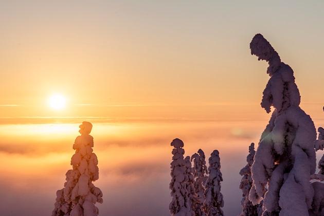 Incredible Eagles View Suite at Iso Syote Hotel in Finland (8)