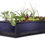 Noocity Growbed Grow Organic Food at Home