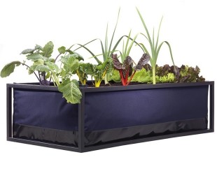Noocity Growbed Grow Organic Food at Home