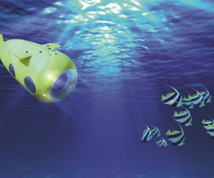 VAS 525 60 Yellow Submarine (7)