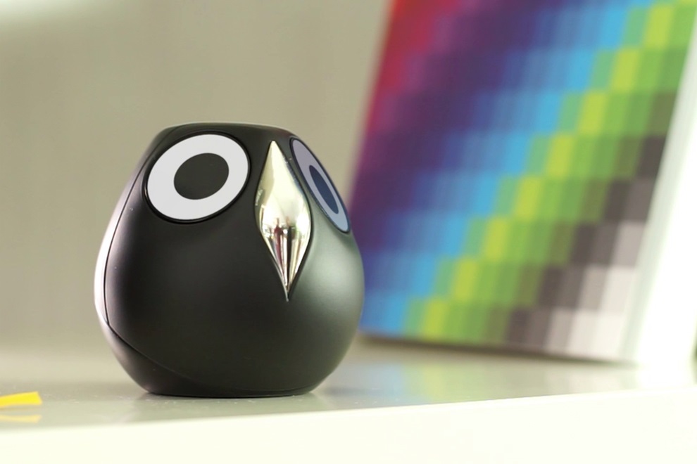 Ulo Is A Pet Owl Surveillance Camera With Attitude (6)