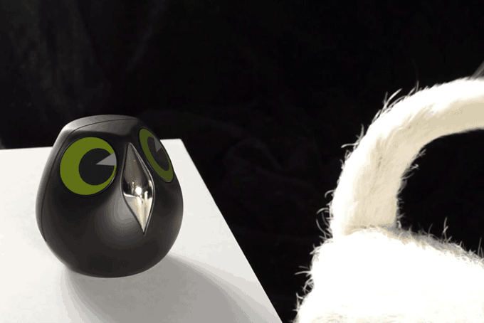 Ulo Is A Pet Owl Surveillance Camera With Attitude (5)
