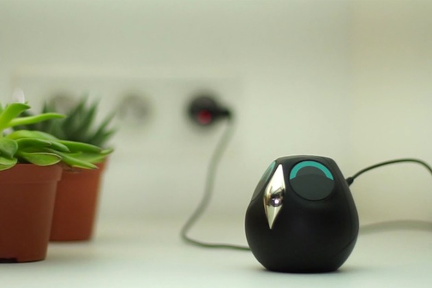 Ulo Is A Pet Owl Surveillance Camera With Attitude (1)