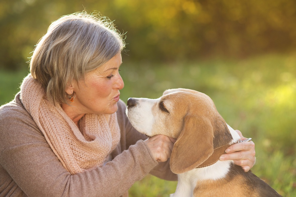 How Effective Of A Treatment Is Pet Therapy For The Elderly