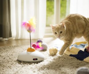 Pawbo Catch Cat Teaser Toy (3)