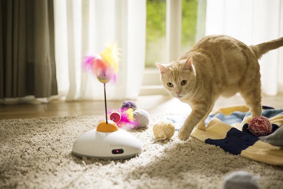 Pawbo Catch Cat Teaser Toy (3)