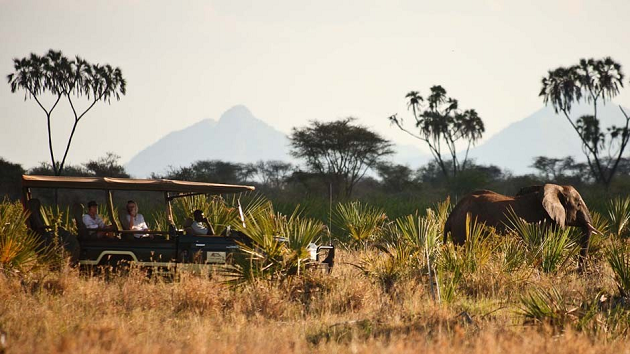 Kenya Wildlife Safari An Experience You Will Never Forget (4) (3)